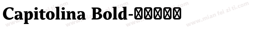 Capitolina Bold字体转换